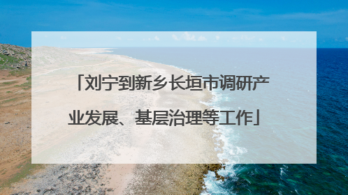 刘宁到新乡长垣市调研产业发展、基层治理等工作
