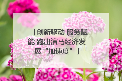 创新驱动 服务赋能 跑出演马经济发展“加速度”