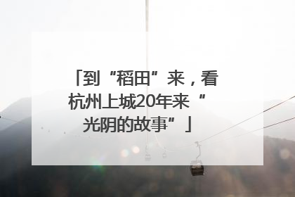 到“稻田”来，看杭州上城20年来“光阴的故事”