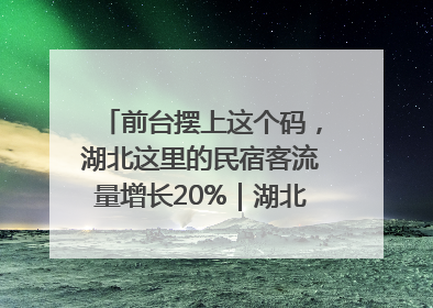 前台摆上这个码，湖北这里的民宿客流量增长20%｜湖北市场监管所的故事