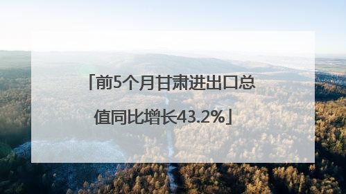 前5个月甘肃进出口总值同比增长43.2%