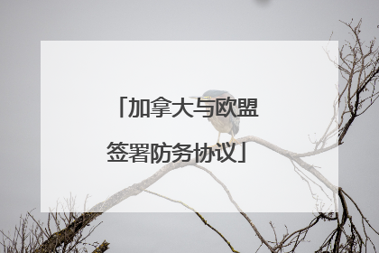 加拿大与欧盟签署防务协议