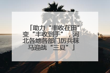 助力“丰收在田”变“丰收到手”，河北各地各部门厉兵秣马迎战“三夏”