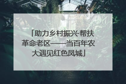 助力乡村振兴·帮扶革命老区——当百年农大遇见红色凤城