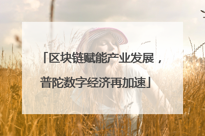 区块链赋能产业发展，普陀数字经济再加速