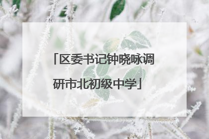 区委书记钟晓咏调研市北初级中学