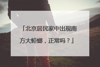 北京居民家中出现南方大蟑螂，正常吗？