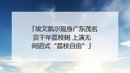 埃文凯尔现身广东茂名 赏千年荔枝树 上演无间道式“荔枝自由”
