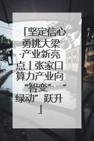 坚定信心 勇挑大梁·产业新亮点丨张家口算力产业向“智变”“绿动”跃升