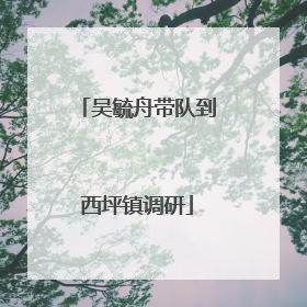吴毓舟带队到西坪镇调研