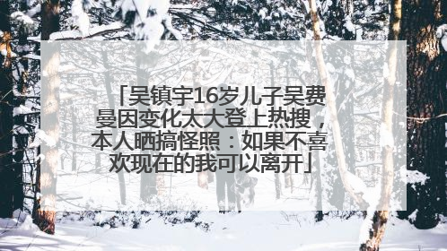 吴镇宇16岁儿子吴费曼因变化太大登上热搜，本人晒搞怪照：如果不喜欢现在的我可以离开