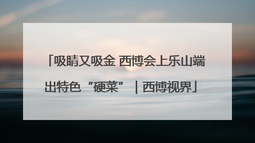 吸睛又吸金 西博会上乐山端出特色“硬菜”｜西博视界