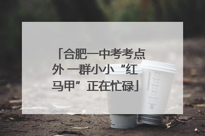 合肥一中考考点外 一群小小“红马甲”正在忙碌