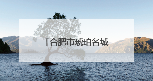 合肥市琥珀名城小学教育集团教师参与“千课万人”数学论坛活动