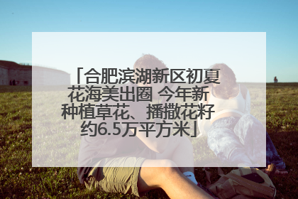 合肥滨湖新区初夏花海美出圈 今年新种植草花、播撒花籽约6.5万平方米