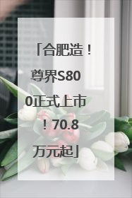 合肥造！尊界S800正式上市！70.8万元起