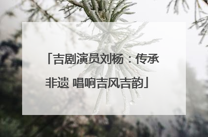 吉剧演员刘杨：传承非遗 唱响吉风吉韵