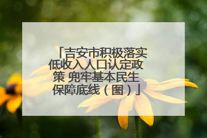 吉安市积极落实低收入人口认定政策 兜牢基本民生保障底线（图）