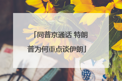 同普京通话 特朗普为何重点谈伊朗