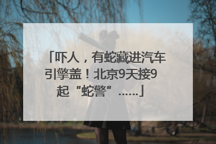 吓人，有蛇藏进汽车引擎盖！北京9天接9起“蛇警”……