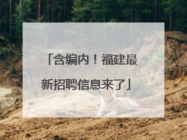 含编内！福建最新招聘信息来了