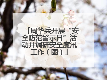 周华兵开展“安全防范警示日”活动并调研安全度汛工作（图）