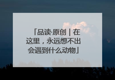 品读·原创｜在这里，永远想不出会遇到什么动物