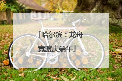 哈尔滨：龙舟竞渡庆端午