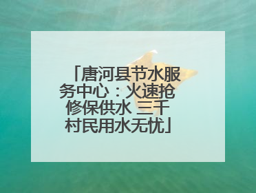 唐河县节水服务中心：火速抢修保供水 三千村民用水无忧