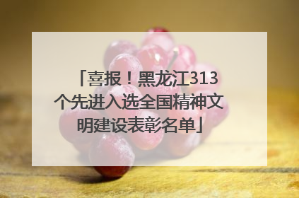 喜报！黑龙江313个先进入选全国精神文明建设表彰名单