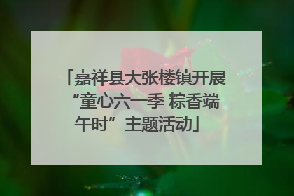 嘉祥县大张楼镇开展“童心六一季 粽香端午时”主题活动