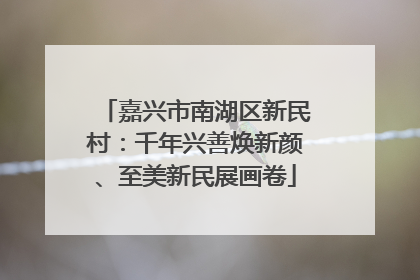 嘉兴市南湖区新民村：千年兴善焕新颜、至美新民展画卷