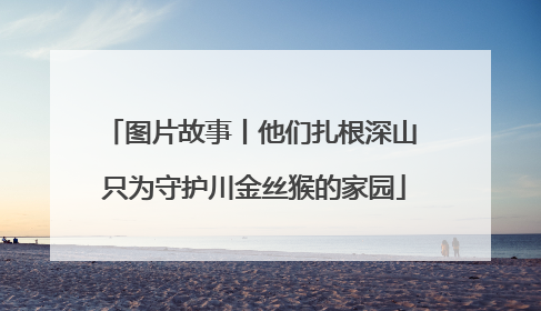 图片故事丨他们扎根深山 只为守护川金丝猴的家园