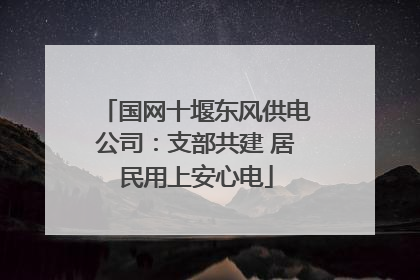国网十堰东风供电公司：支部共建 居民用上安心电