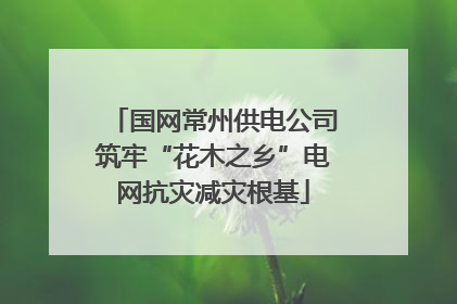 国网常州供电公司筑牢“花木之乡”电网抗灾减灾根基