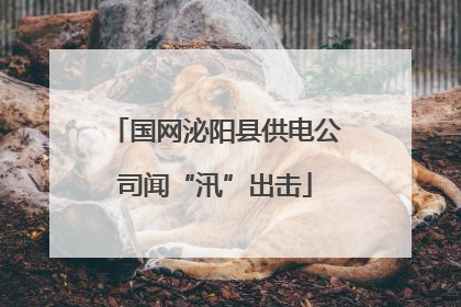 国网泌阳县供电公司闻“汛”出击