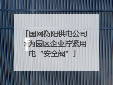 国网衡阳供电公司：为园区企业拧紧用电“安全阀”