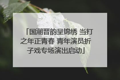 国潮晋韵呈锦绣 当打之年正青春 青年演员折子戏专场演出启动