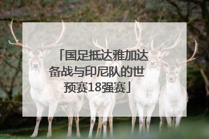 国足抵达雅加达备战与印尼队的世预赛18强赛
