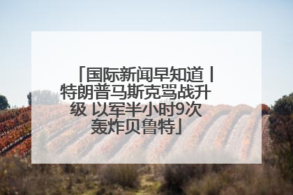 国际新闻早知道丨特朗普马斯克骂战升级 以军半小时9次轰炸贝鲁特