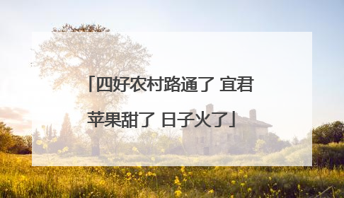 四好农村路通了 宜君苹果甜了 日子火了