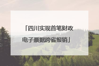 四川实现首笔财政电子票据跨省报销