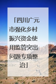 四川广元市强化乡村振兴资金使用监管突出问题专项整治