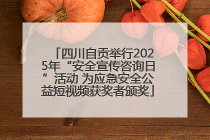 四川自贡举行2025年“安全宣传咨询日”活动 为应急安全公益短视频获奖者颁奖