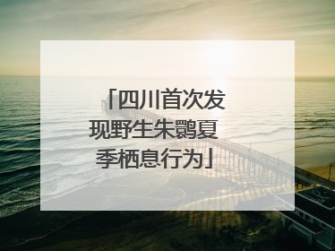 四川首次发现野生朱鹮夏季栖息行为