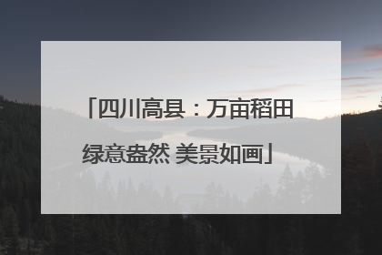 四川高县：万亩稻田绿意盎然 美景如画