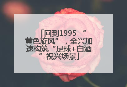 回到1995 “黄色旋风”，全兴加速构筑“足球+白酒”祝兴场景