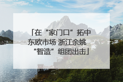 在“家门口”拓中东欧市场 浙江余姚“智造”组团出击