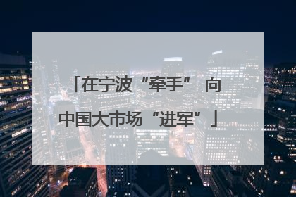 在宁波“牵手” 向中国大市场“进军”