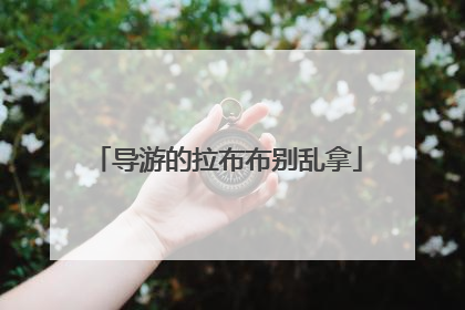 导游的拉布布别乱拿